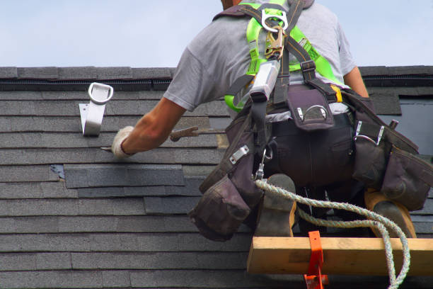Best Metal Roofing Contractor  in Hinckley, IL
