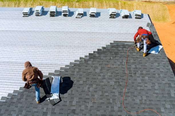 Best Roof Gutter Cleaning  in Hinckley, IL