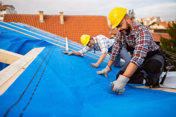 Best Roof Leak Repair  in Hinckley, IL