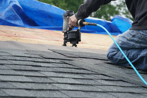 Best Roof Waterproofing Services  in Hinckley, IL